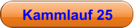 Kammlauf 25
